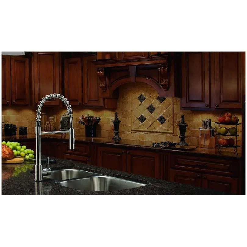 Stainless Steel Spring Faucet
